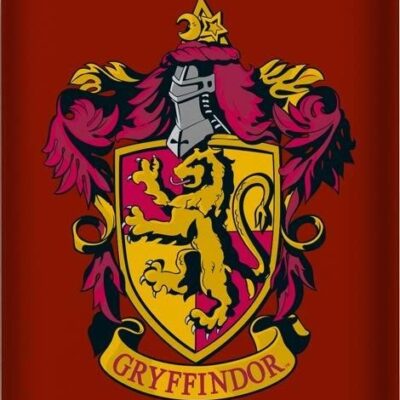 Powerbank Emtec U800 Harry Potter Gryffindor 10000mAh (ECCHA5U800HP01)
