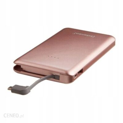 Powerbank Intenso Slim Idual S10000 10000mAh Różowy (7332533)