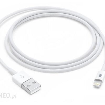 Rock Kabel USB S06 Lightning do iPhone 100cm (706)